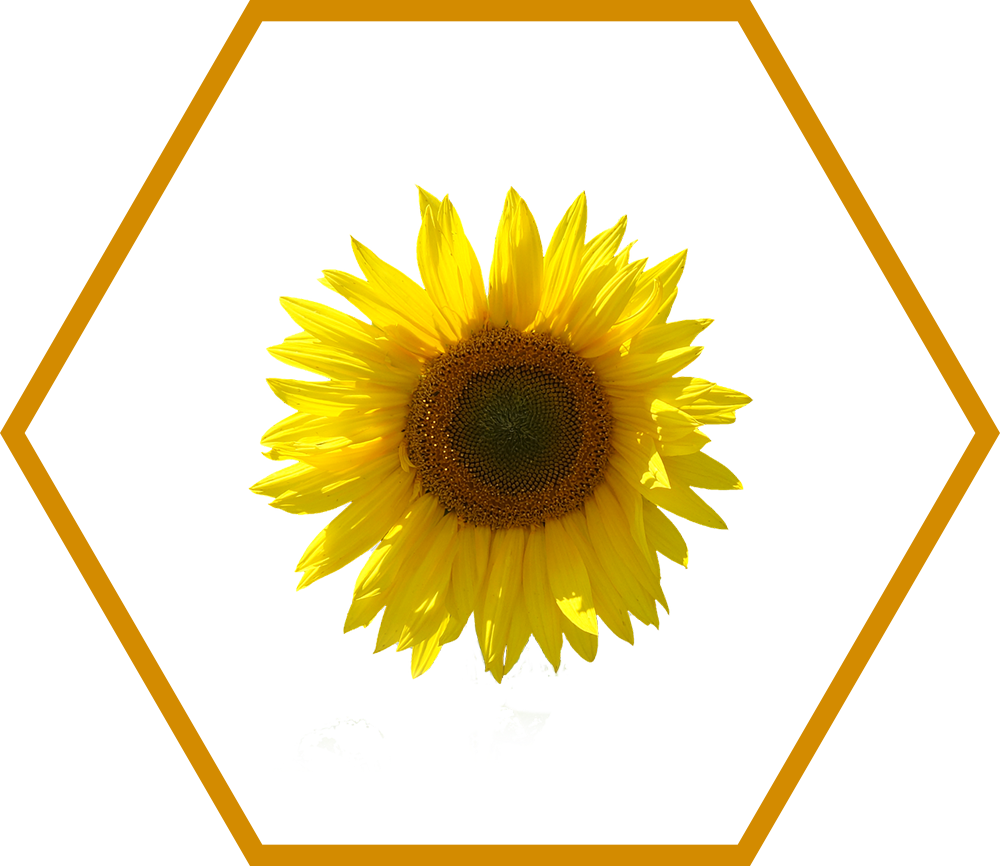 Сельское хозяйство